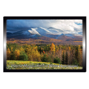 9125 - Postcard - Change of Seasons