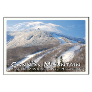 9132 - Postcard - Cannon Winter Day