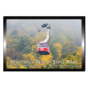 9136 - Postcard - Cannon Tram