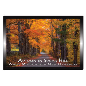9137 - Postcard - Autumn Road Sugar Hill