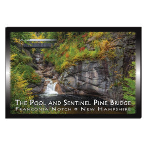 9138 - Postcard - Pine Sentinel Bridge