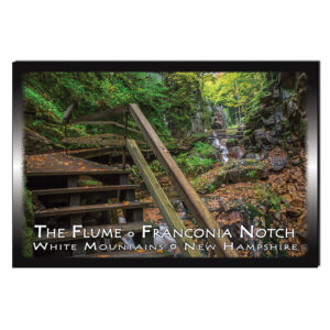 9141 - Postcard - The Flume Boardwalk