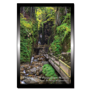 9148 - Postcard - The Flume