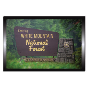 9163 - Postcard - WMNF Summer Sign
