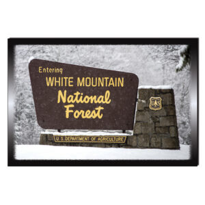 9164 - Postcard - WMNF Winter Sign