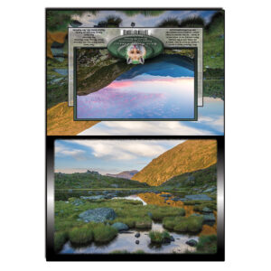 2051 - Note Card - Star Lake