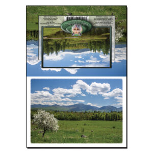 2053 - Note Card - Sugar Hill Spring
