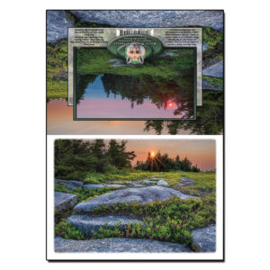 2057 - Note Card - Tuckerbrook