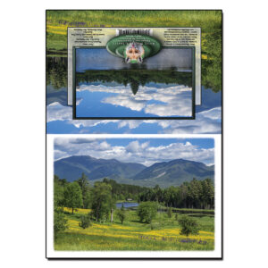 2059 - Note Card - Sugar Hill Springtime