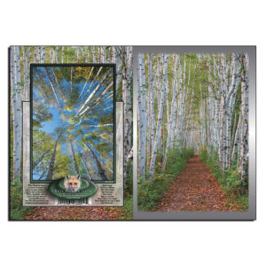 2063 - Note Card - Summer Birch Path