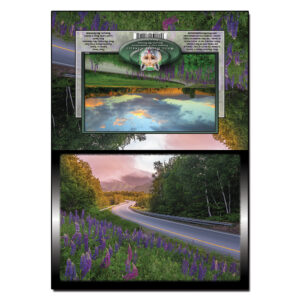 2064 - Note Card - Lupine Road