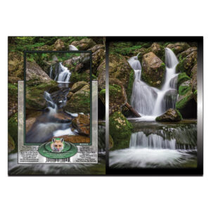 2069 - Note Card - Naiad Gambol Falls