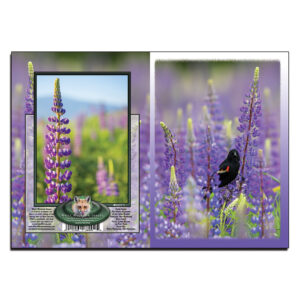 2071 - Note Card - Lupine Blackbird