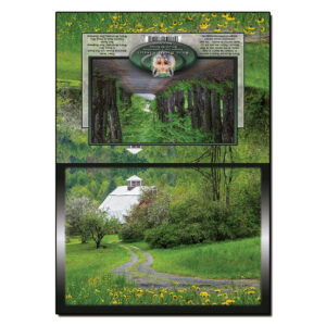 2075 - Note Card - Spring Barn