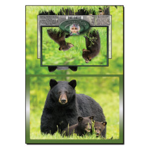 2086 - Note Card - Bear Family