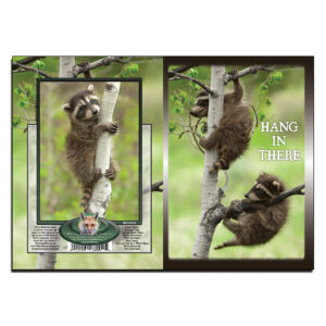 2089 - Note Card - Hang in There