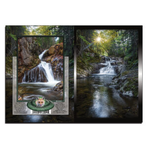 2090 - Note Card - Nathan Pond Brook Falls