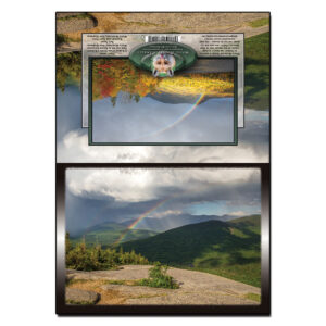 2091 - Note Card - Summer Rainbow