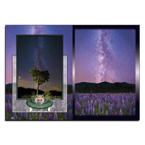 2093 - Note Card - Lupine Milky Way