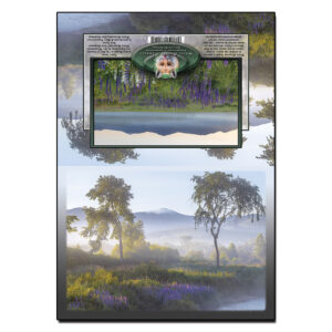 2095 - Note Card - Misty Lupine Morning