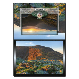 2096 - Note Card - Mount Clay Alpine Flowers