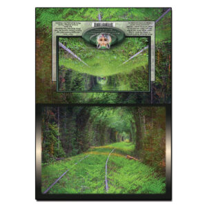 2097 - Note Card - Emerald Tunnel