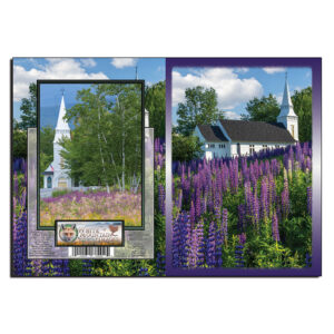 2098 - Note Card - Lupine Chapel