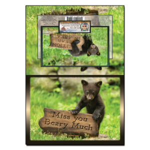 2099 - Note Card - Miss You Beary Much