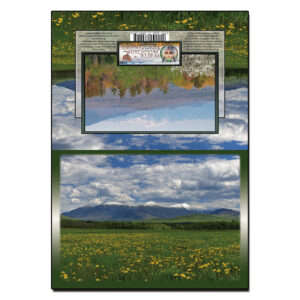 2100 - Note Card - Spring Snow