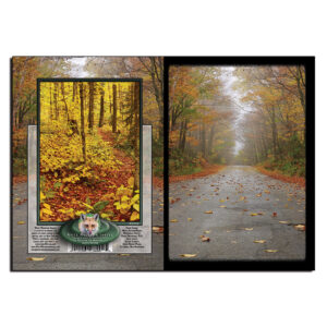 3006 - Note Card - Misty Autumn Road
