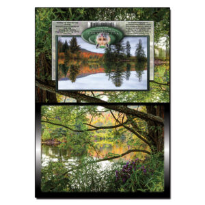 3013 - Note Card - Coffin Pond Autumn