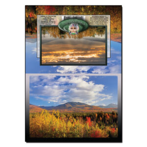 3023 - Note Card - Ledgewood Autumn