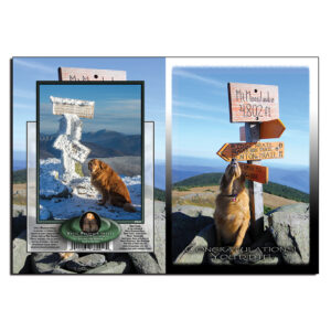 3024 - Note Card - Congratulations