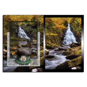 3025 - Note Card - Little Hellgate Falls Autumn