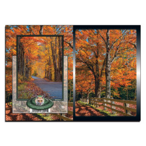 3031 - Note Card - Autumn in Sandwich