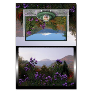 3032 - Note Card - Washington over Wildflowers