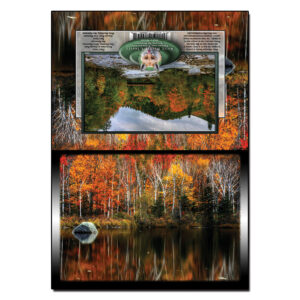 3033 - Note Card - Zealand Pond
