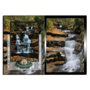 3037 - Note Card - Hawthorne Cascades