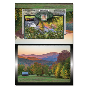 3043 - Note Card - Bronson Cabin Autumn