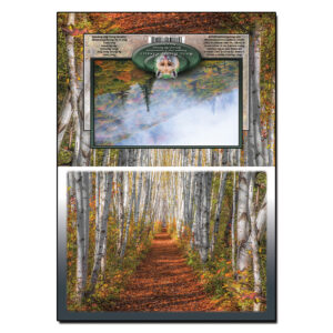 3046 - Note Card - Autumn Birch Path
