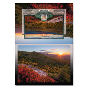 3047 - Note Card - Autumn Nubble Sunset