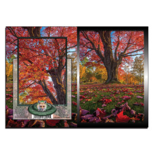 3048 - Note Card - Sugar Hill Scarlet Maple
