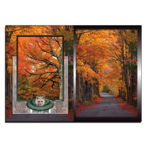 3049 - Note Card - Sugar Hill Autumn Road