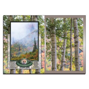 3050 - Note Card - Pastel Birches
