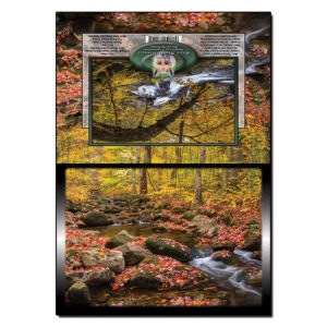 3052 - Note Card - Autumn Brook