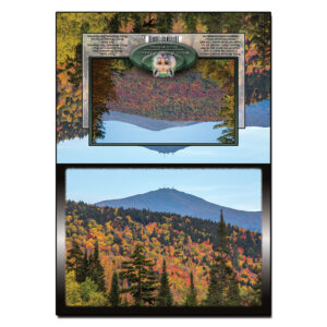 3054 - Note Card - Mount Washington Autumn