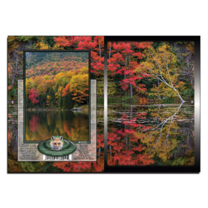 3056 - Note Card - Reflections of the Fall
