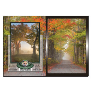 3059 - Note Card - Misty Sugar Hill Road
