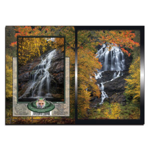 3060 - Note Card - Beaver Brook Falls Autumn