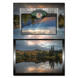 3061 - Note Card - Wildlife Pond